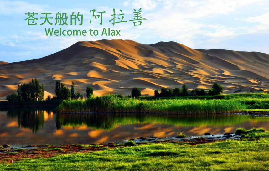 搜狗截图22年12月02日1804_16.jpg